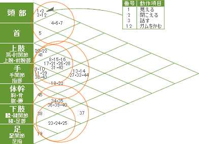 身体部位と日常動作項目との相関図